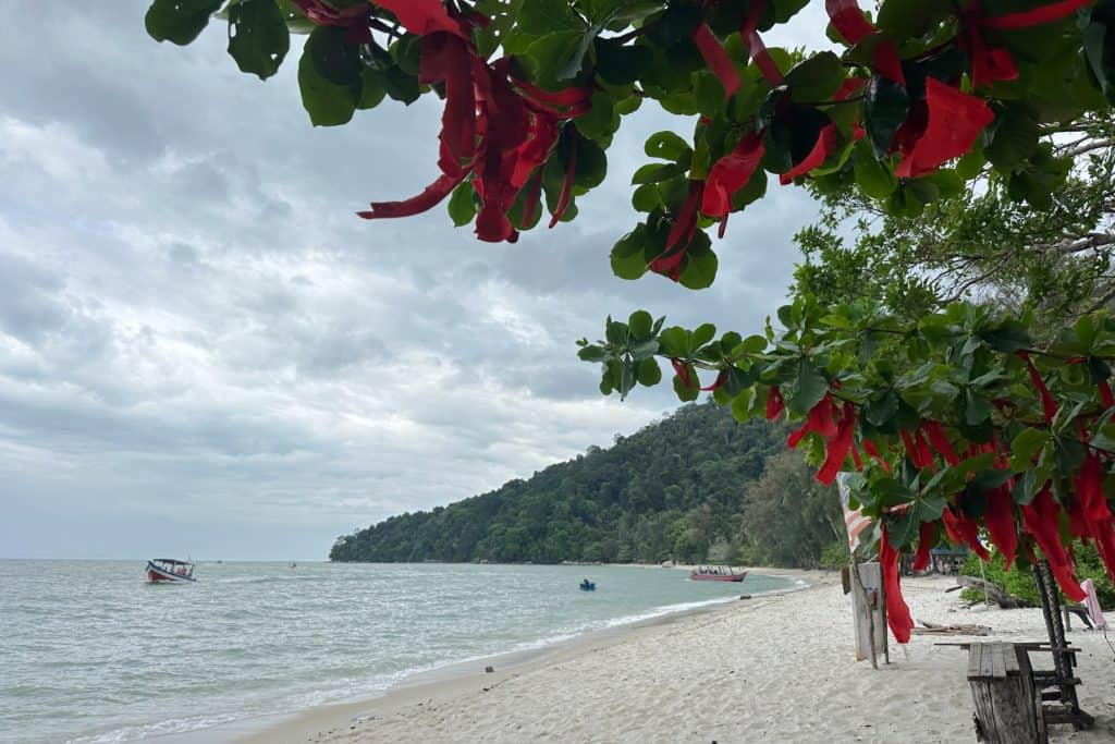 Red ribbons hang from a leafy tree on overlooking Monkey Beach in Penang