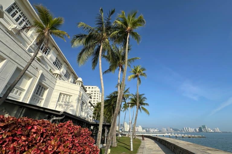 Palm trees and plant beds on the sea side of the E&O hotel