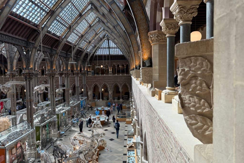 A view of the exhibits on the ground floor of Oxford Natural History Museum from the balcony above