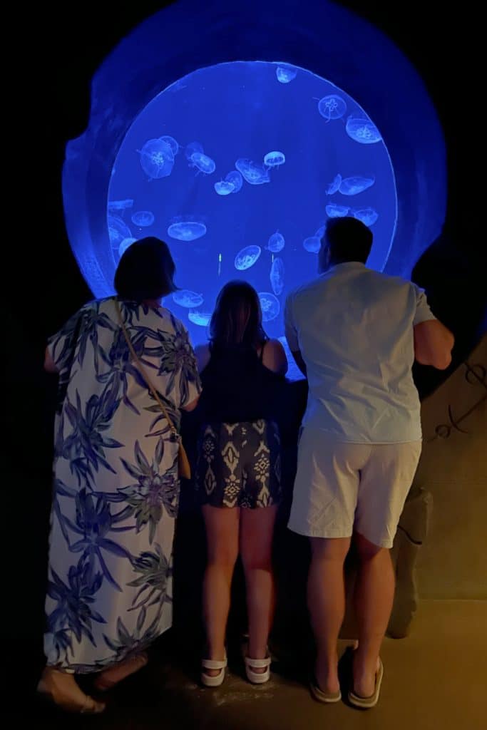 Me, my daughter and husband looking into a round aquarium window at a tank full of jelly fish