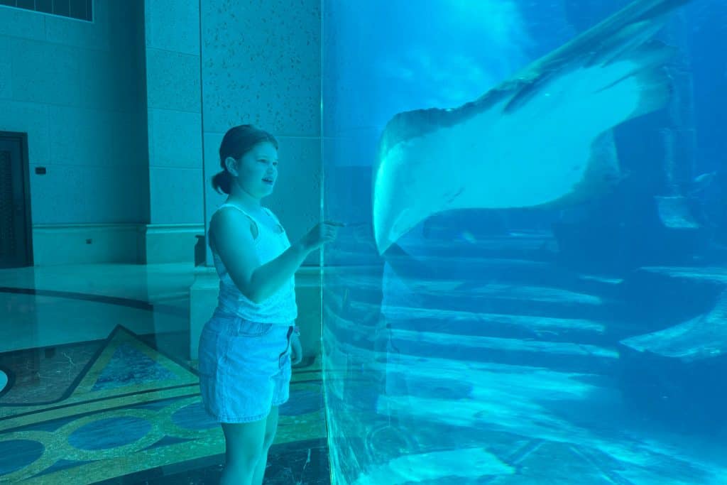 My daughter looking at a Ray through the 70cm thick glass of the Ambassador Tank in Atlantis The Palm Hotel
