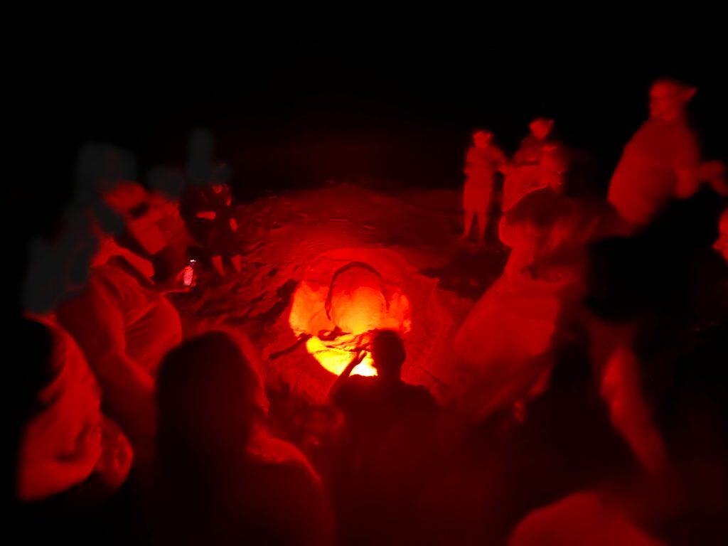 Group of visitors to Ras Al Jinz turtle reserve in Oman observing a turtle laying its eggs on the beach at night
