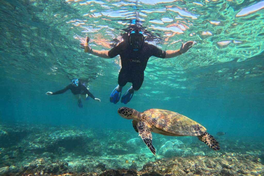 Mr Tin Box and I swimming above a turtle on the coral at the Daymaniat Islands in Oman
