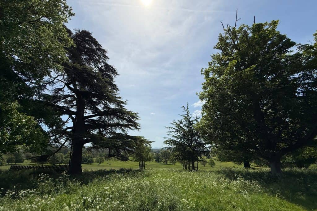 A view across the trees and parkland at Coteshill Park
