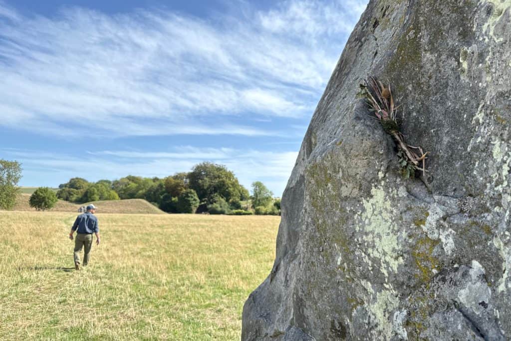 A small bunch of dry flowers perched on the side of a standing stone at Avebury